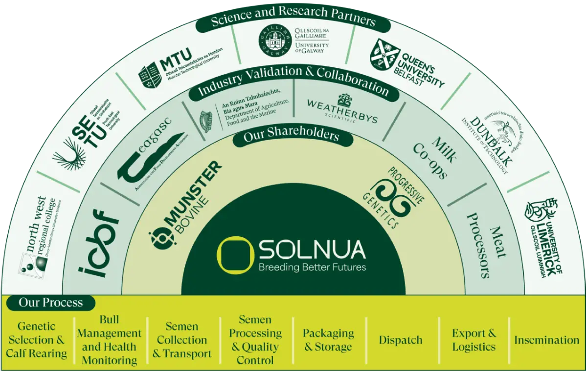 The Solnua Advantage