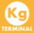 Terminal Flag: Yes