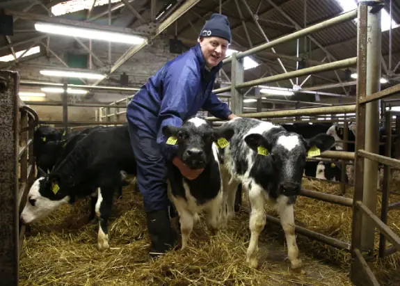 Farmer with cattle