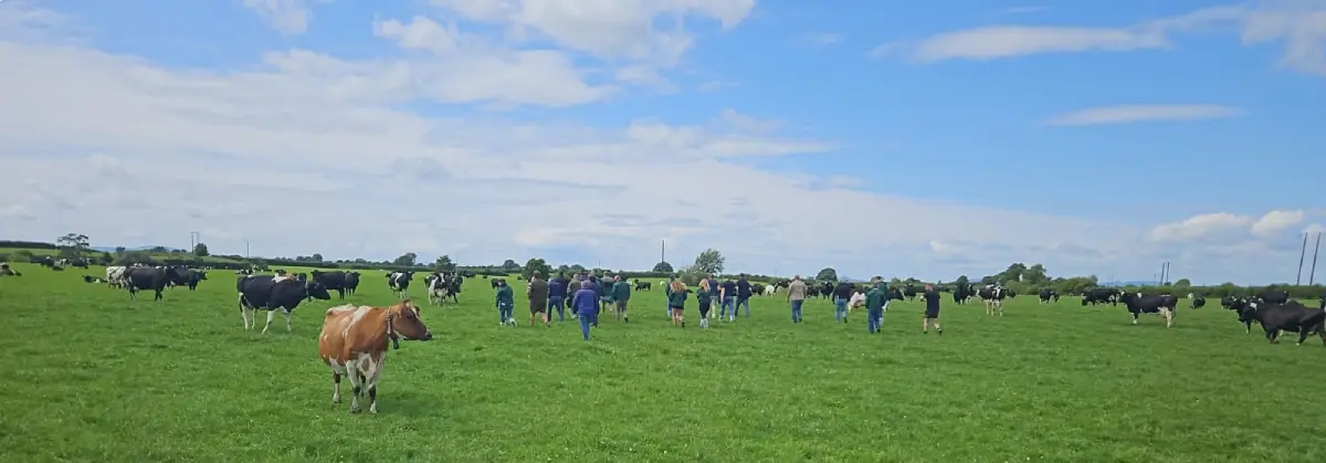 ABS Genus Dairy farmers travel over to see (IG) Ireland Genetics progeny on home soil SOLNUA 1.Genus - Russells Group Photo walking with Cows edited