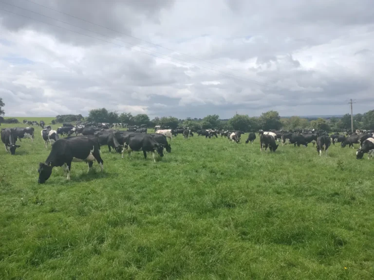 Devon Grassland Society visit –  July 2025