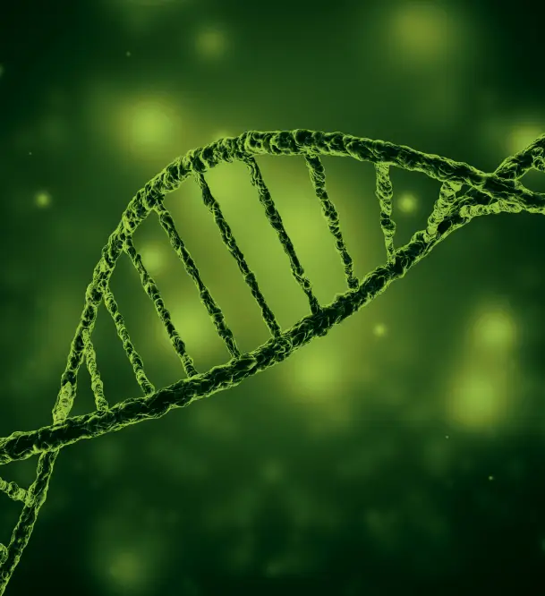 DNA