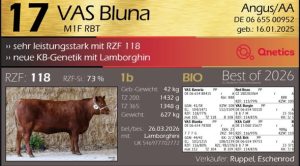 Solnua Red Angus – Leading the field in Germany