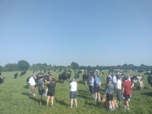 Proof in the Field: UK Dairy Farmers see Solnua Progeny on Irish Soil