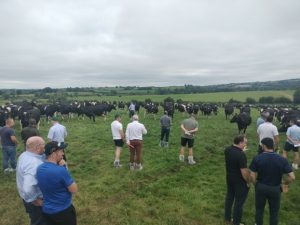 Proof in the Field: UK Dairy Farmers see Solnua Progeny on Irish Soil SOLNUA Proof in the Field: UK Dairy Farmers see Solnua Progeny on Irish Soil