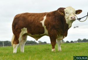 Solnua Genetics triumph in Germany SOLNUA Solnua Genetics triumph in Germany