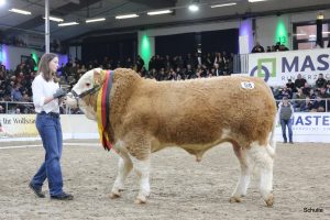 Solnua Genetics triumph in Germany SOLNUA Solnua Genetics triumph in Germany