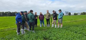 Confidence in Every Breeding Decision: South African Farmers Experience the Solnua Story SOLNUA Confidence in Every Breeding Decision: South African Farmers Experience the Solnua Story