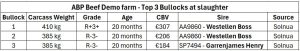Westellen Boss Tops the Charts for ABP Dairy-Beef Performance SOLNUA Westellen Boss Tops the Charts for ABP Dairy-Beef Performance