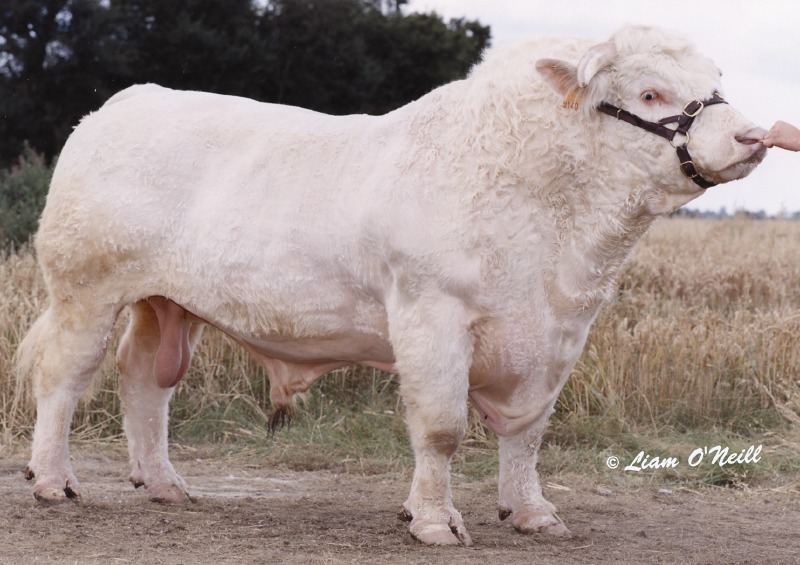 Cavelands Levi — view 2