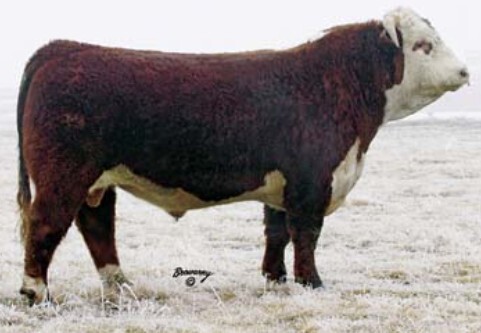 Allowdale Advance 573 ET — view 2