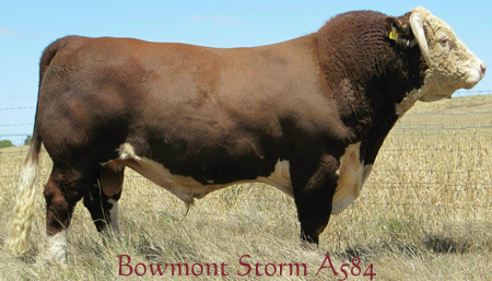 Allowdale Rambo 475 — view 2
