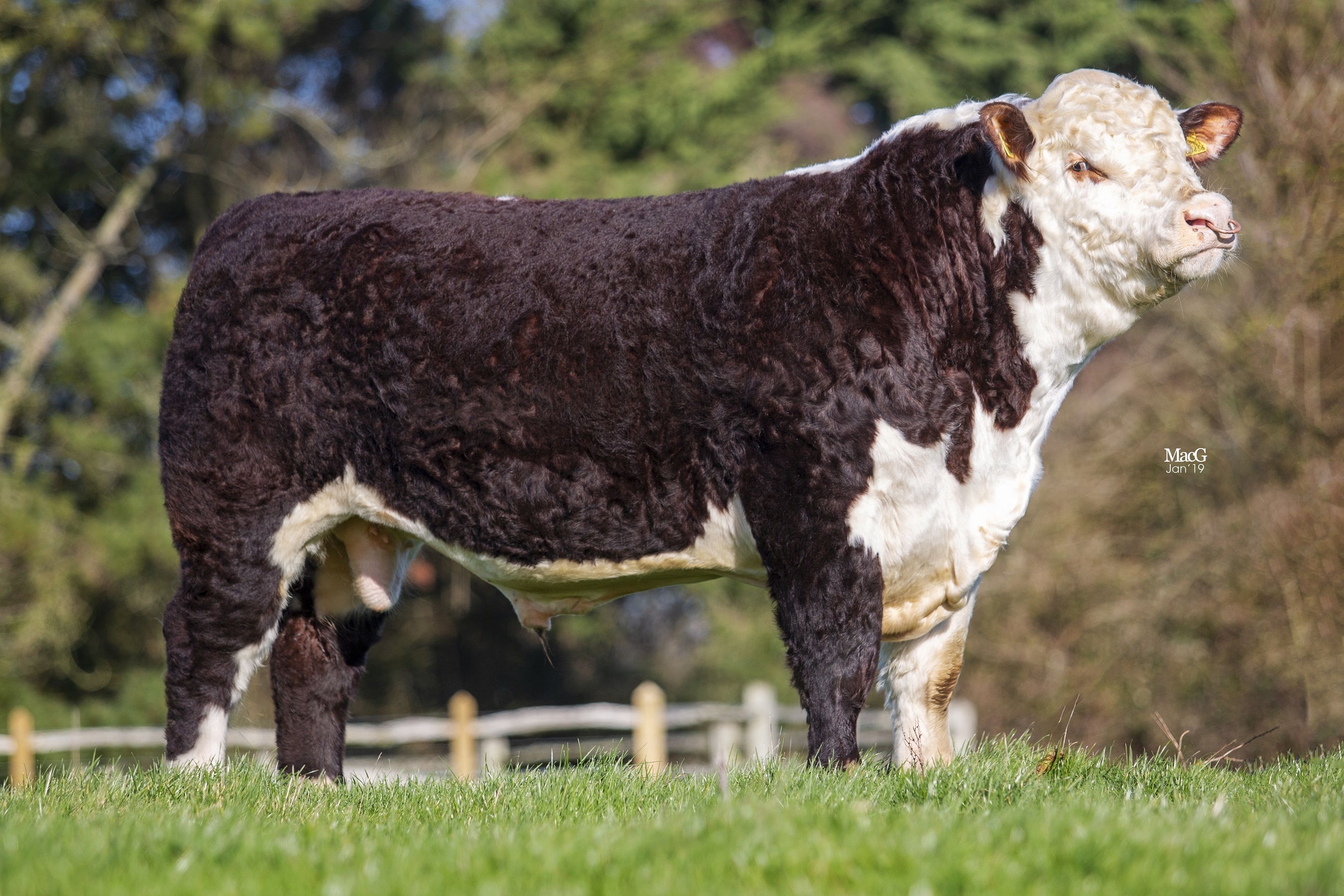 Fisher 1 Profile P456